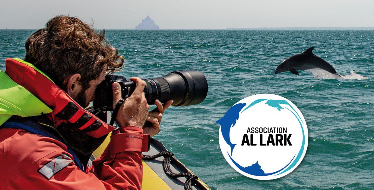 DEFI MER : Sortie en mer de 3h avec l’association Al Lark pour observer des dauphins ( 8 personnes )